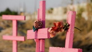 En lo que va del año México registra 495 feminicidios