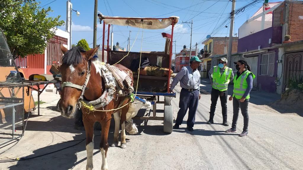Continúan los operativos en Soledad para retirar de la vía publica vehículos de tracción animal utilizados para la recolección de basura