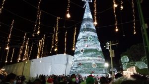 Provoca ilusión en familias soledenses el encendido del pino monumental navideño