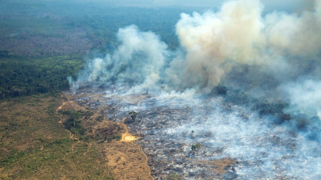 Alertan por incendios en la Amazonia y la Orinoquía en Colombia