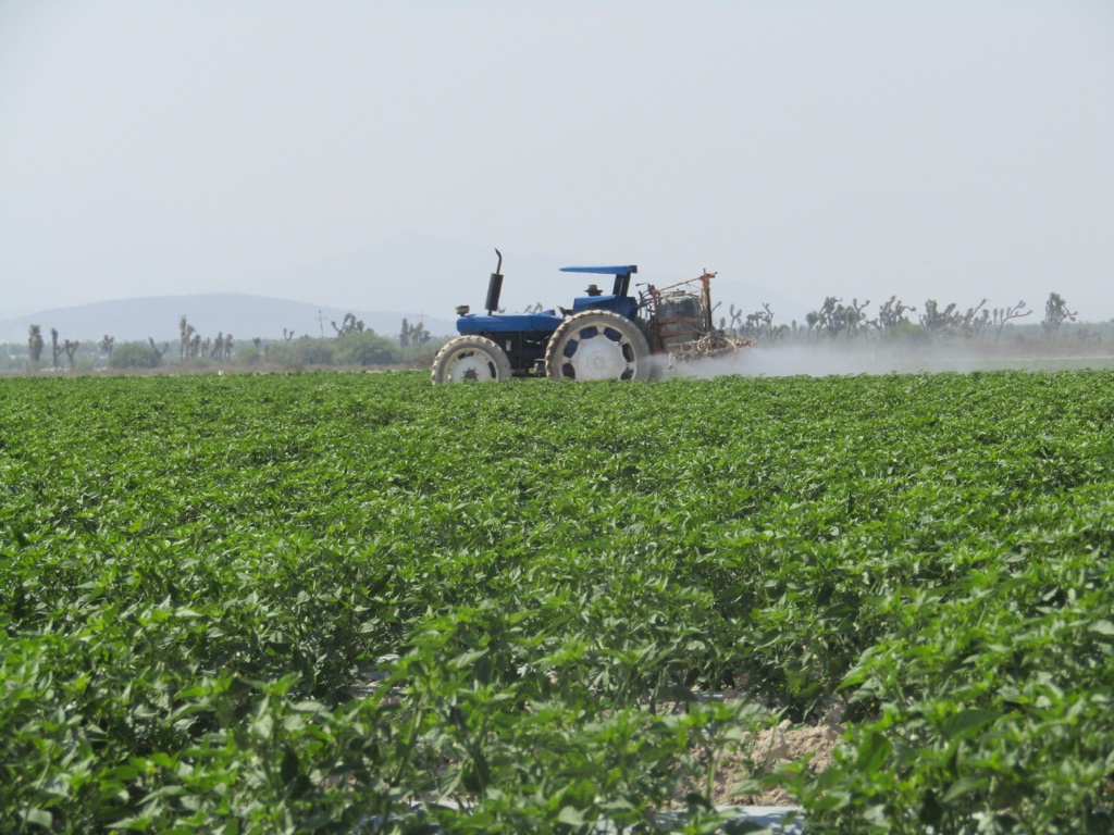 La producción agrícola del año pasado superó las 6 mil 800 toneladas, alcanzando un valor superior a los 17 mil millones de pesos: Cambeses Ballina