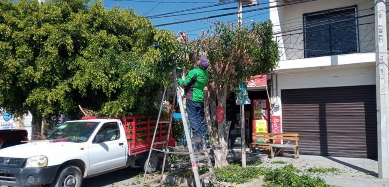 Servicios Municipales continúa con el mantenimiento de espacios públicos en colonias del municipio, con el objetivo de mejorar la imagen urbana