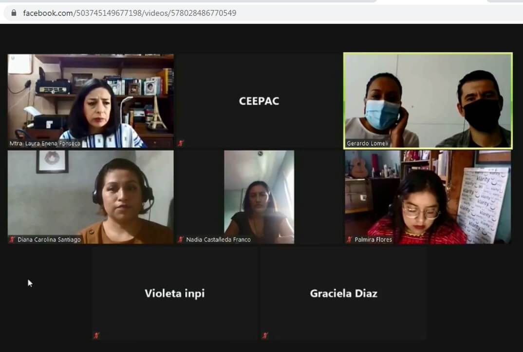 CEEPAC), realizó el Panel Mujeres Indígenas: Avances y retos para la participación política indígena, en el que expertas en el tema, dialogaron.