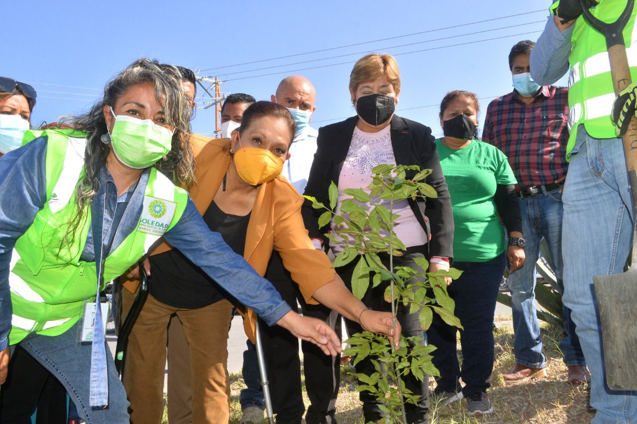 Leonor Noyola dio arranque al programa de reforestación “Un Árbol, Una Vida”, el cual se realiza a través de la coordinación de ecología