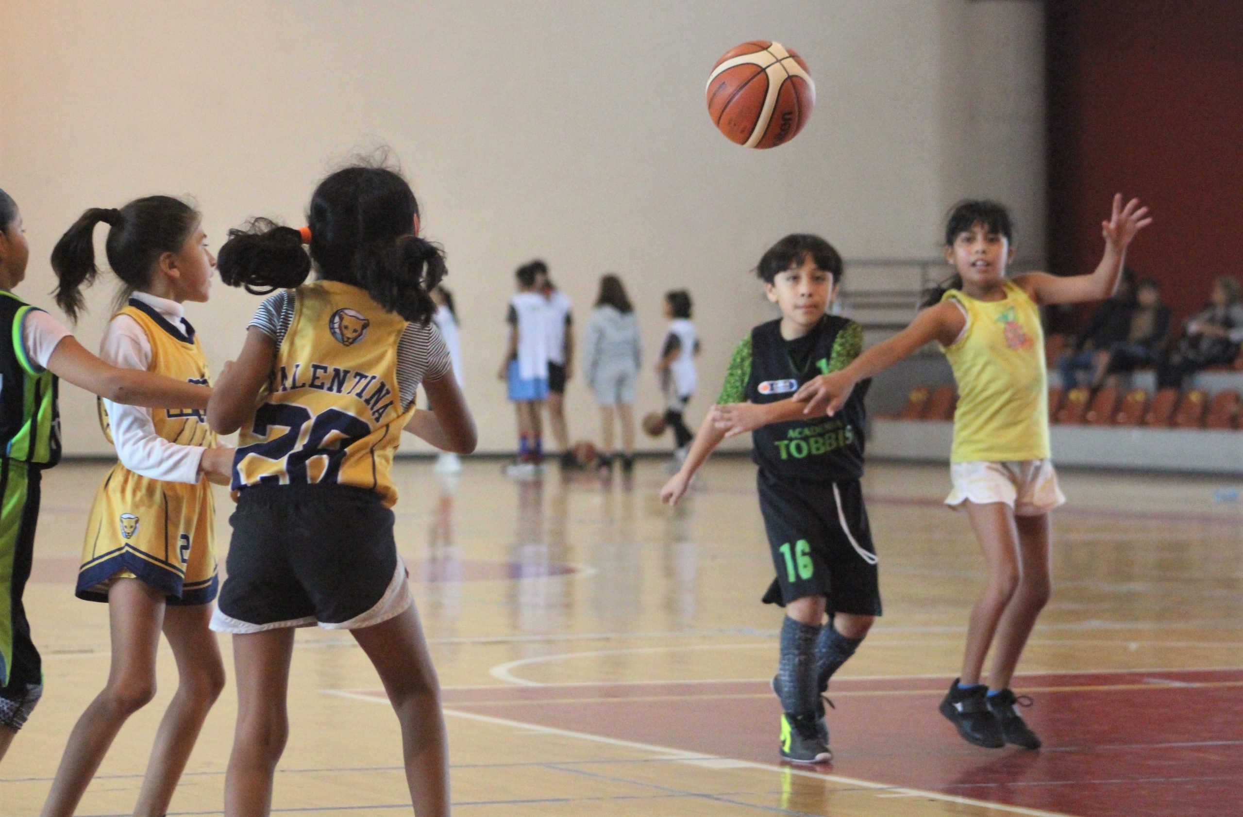 Se llevó a cabo el Torneo de Tercias de Basquetbol que formó parte del proyecto de la Liga de Basquetbol INPODE.