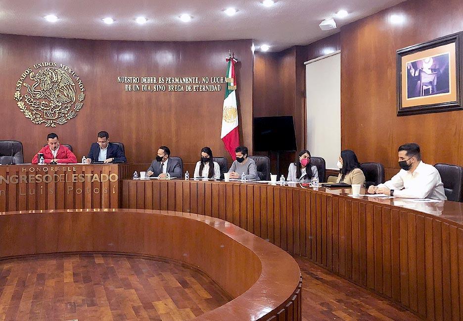 Acuerdan Comisiones unidas ampliar el plazo de la Consulta Pública a personas con discapacidad