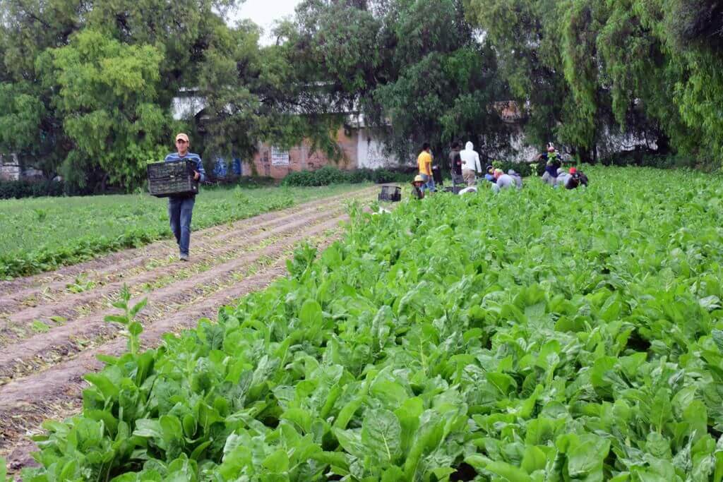 Autoridades municipales, representantes de la facultad de agronomía y comisariados acuerdan realizar cursos de capacitación