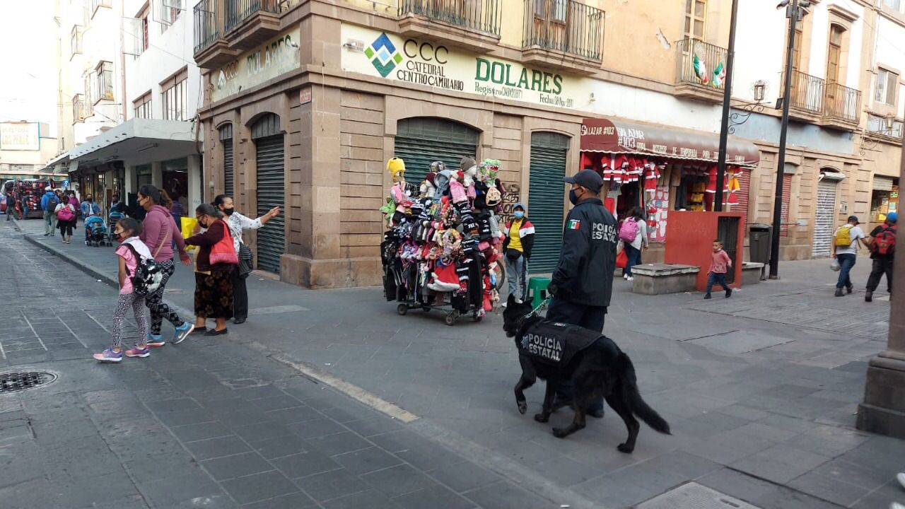 Policías Estatales del agrupamiento K9 realizan operativos en zona centro con el objetivo de brindar seguridad y vigilancia