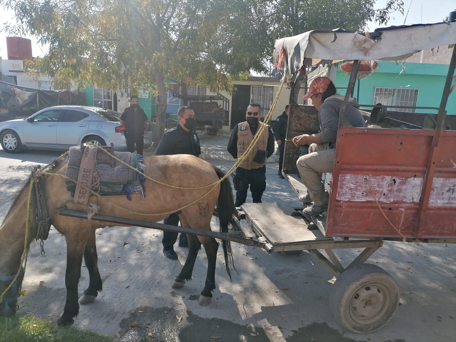 Dirección de Transito y Policía Vial de Soledad asegura seis carretones de basura tirados por animales