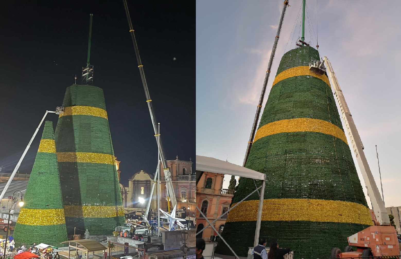 UN ÁRBOL TAN MONUMENTAL COMO LA CONFIANZA POTOSINA EN SU GOBIERNO ESTATAL