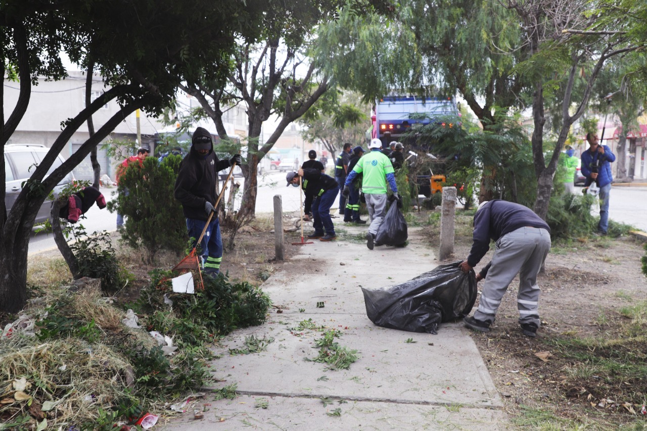 En tres turnos, Servicios Municipales refuerza el rescate de los espacios de la ciudad