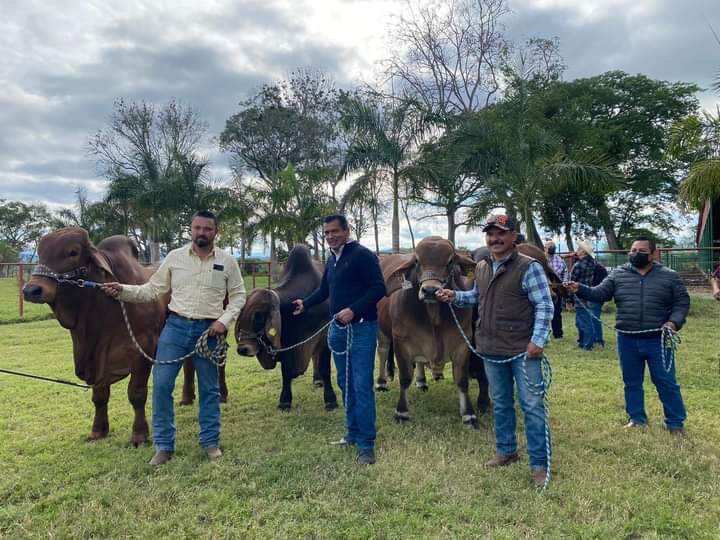 Secretaría de Desarrollo Agropecuario y Recursos Hidráulicos podría desarrollar un programa de impulso a la ganadería de alta genética