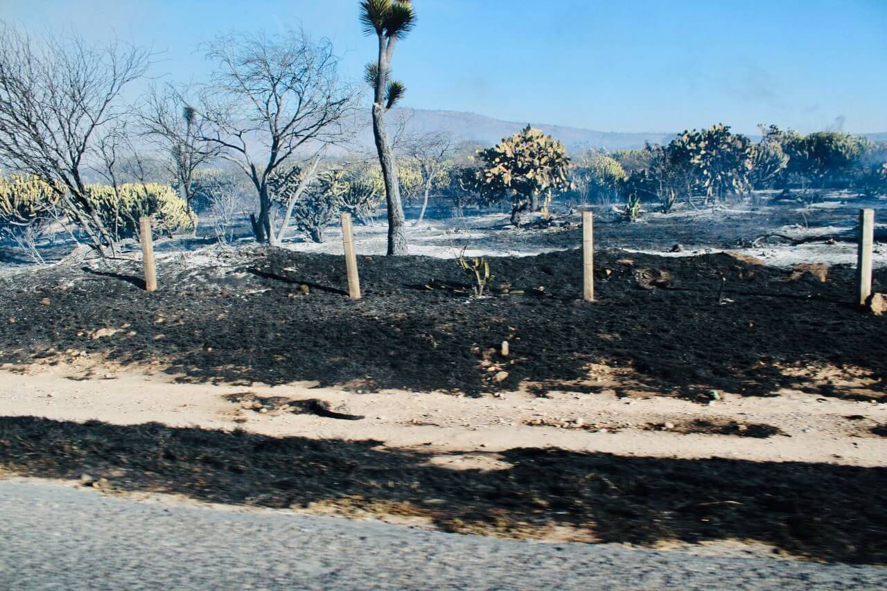 Villa de Reyes interpondrá denuncia contra quien o quienes resulten responsables del incendio en Laguna de San Vicente