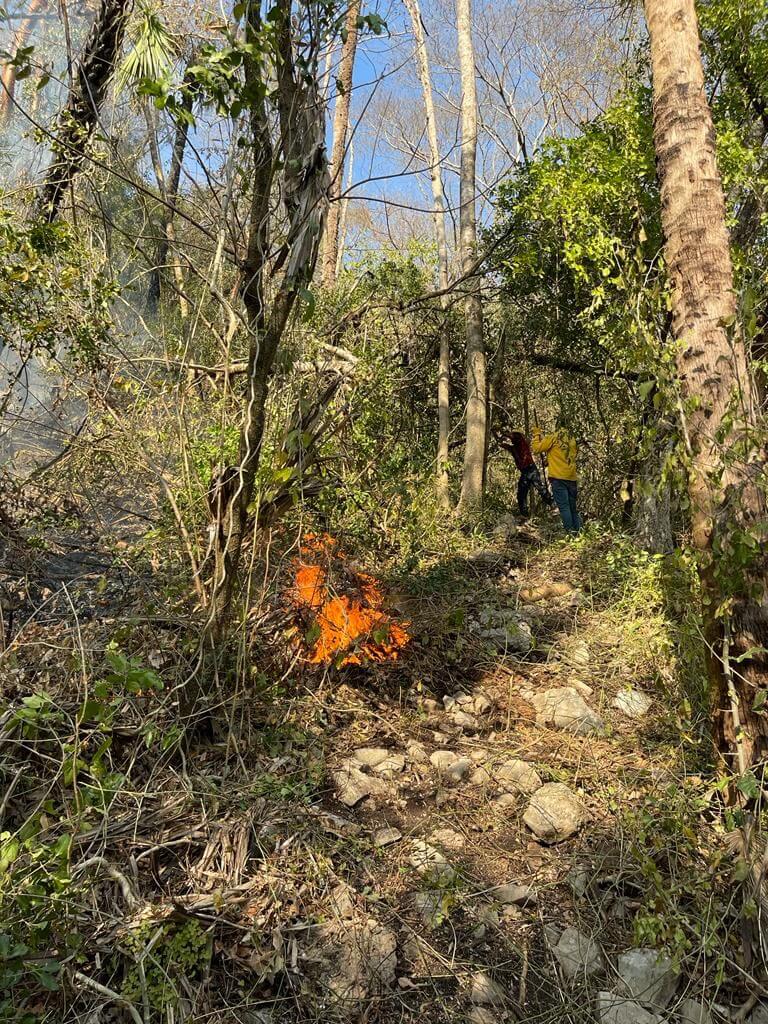 CEPC en colaboración con autoridades de los tres órdenes de gobierno, combaten incendios forestales, agrícolas y en pastizales