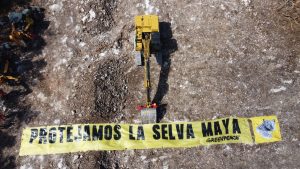 Greenpeace pide a AMLO “la suspensión inmediata” del tramo 5 del Tren Maya