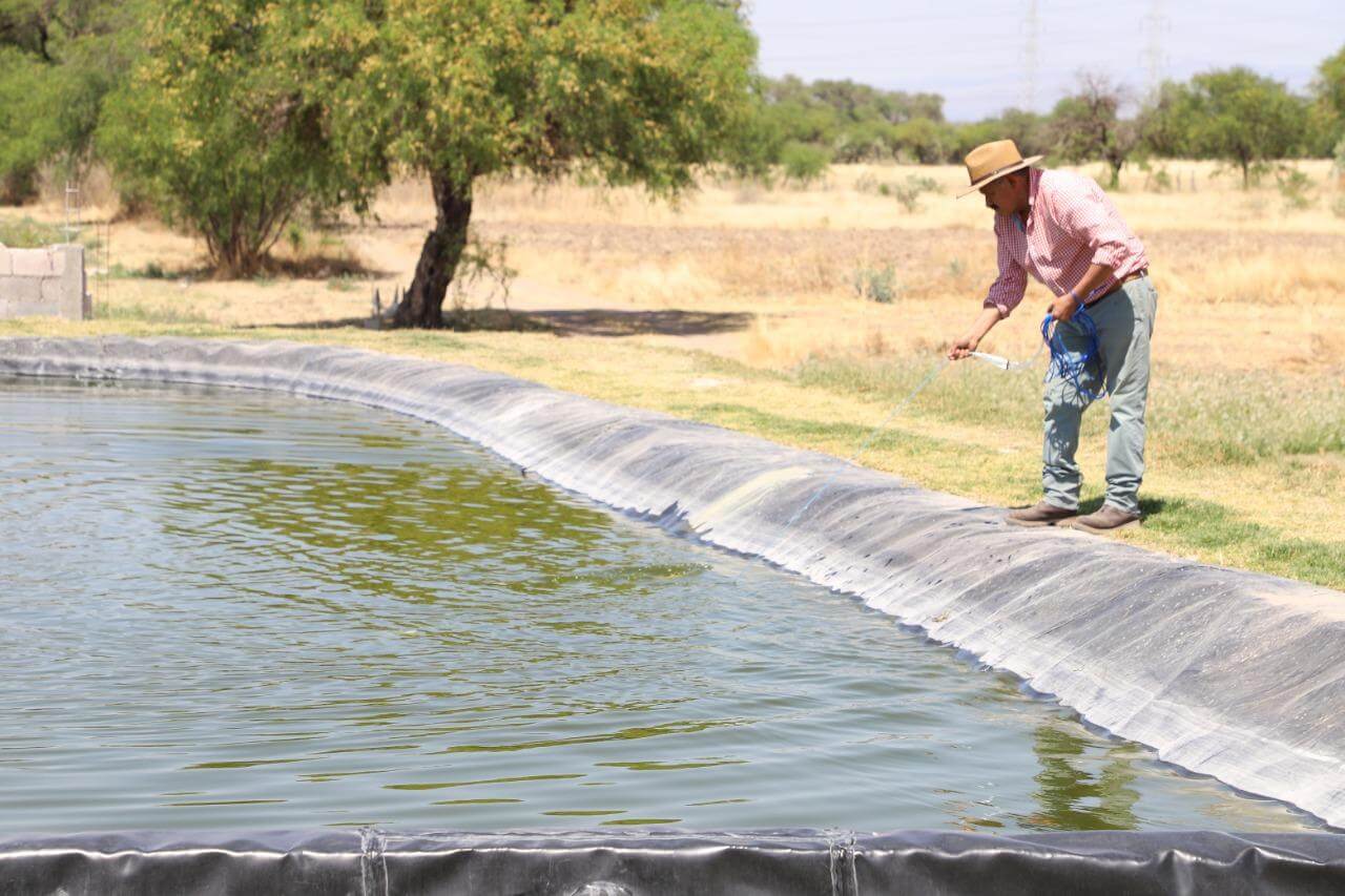 Gobierno busca poner en marcha dos proyectos: uno para impulsar la instalación de granjas piscícolas y otro para producir nopal verdura