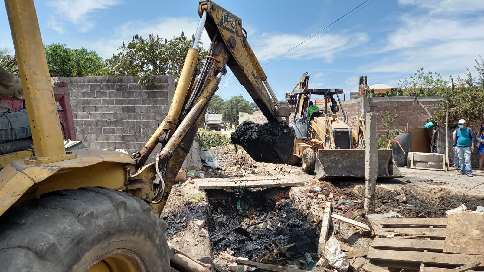 Detectan criadero de porcinos que vertia desechos en el canal de colonia El Morro