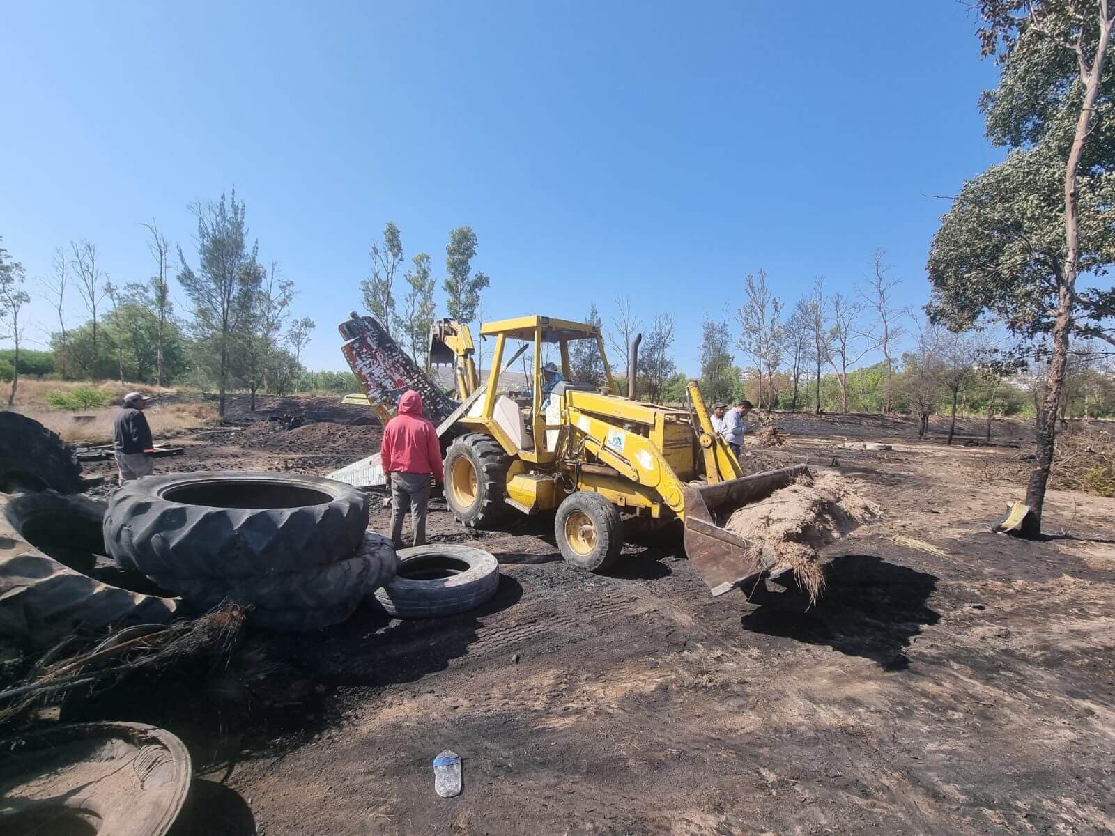 Enrique Alfonso Obregón informó que se lleva a cabo la restauración ecológica en más de una hectárea y media