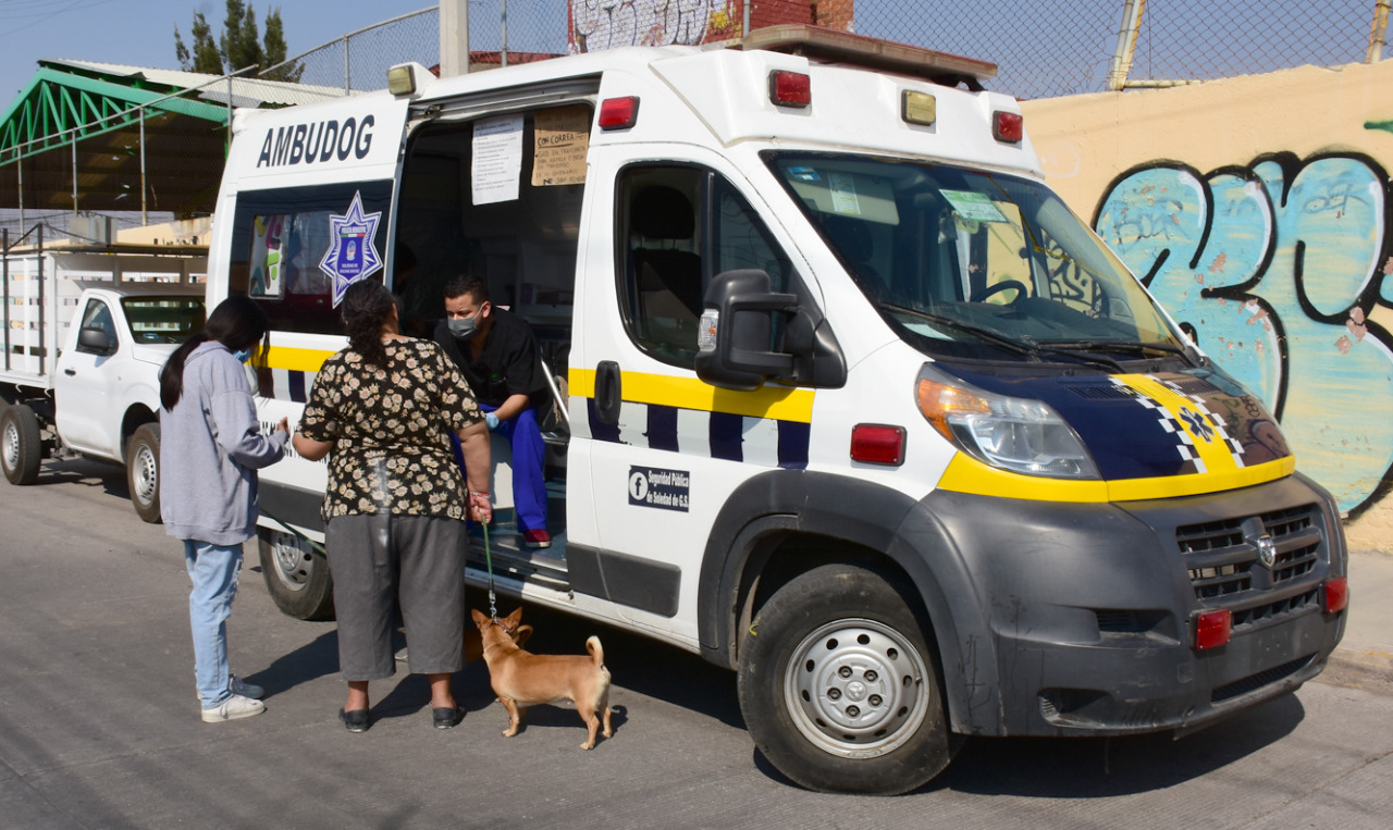 Ambudog ha otorgado más de mil servicios en los primeros cuatro meses del año en Soledad