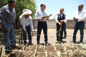 Alcalde Enrique Galindo promueve la producción agrícola en Bocas