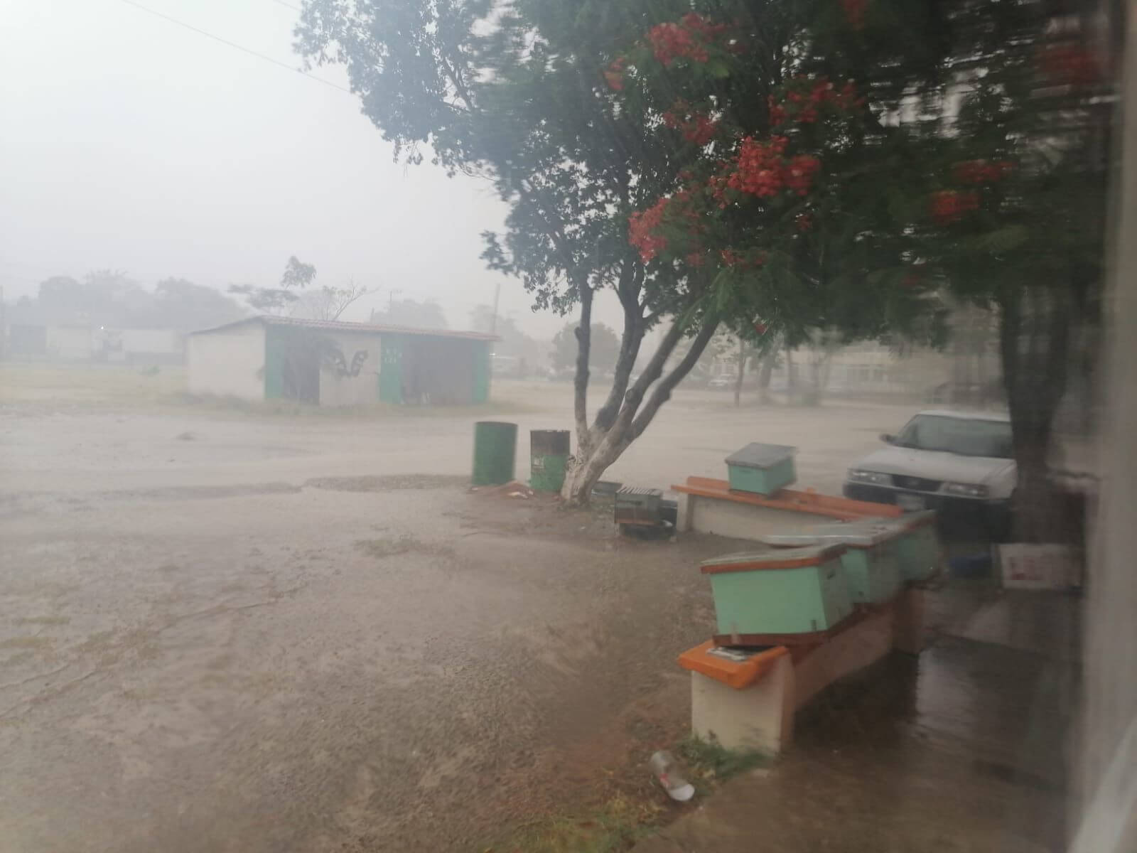 CEPC de San Luis Potosí advierte que el ingreso de humedad en la Entidad propiciará el incremento de nubosidad en próximas horas