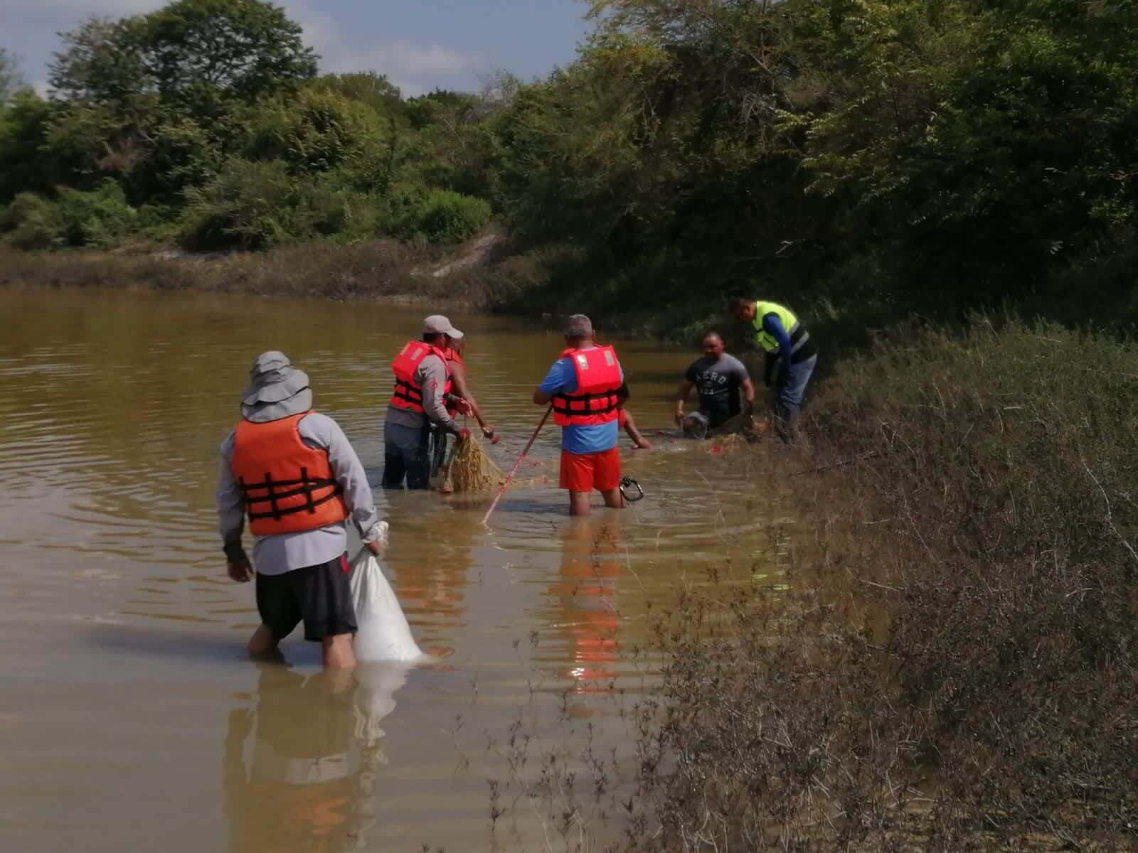 Luego de que habitantes del Ejido El Sabino, reportaran la presencia de un cocodrilo en la presa, lograron su captura y resguardo.