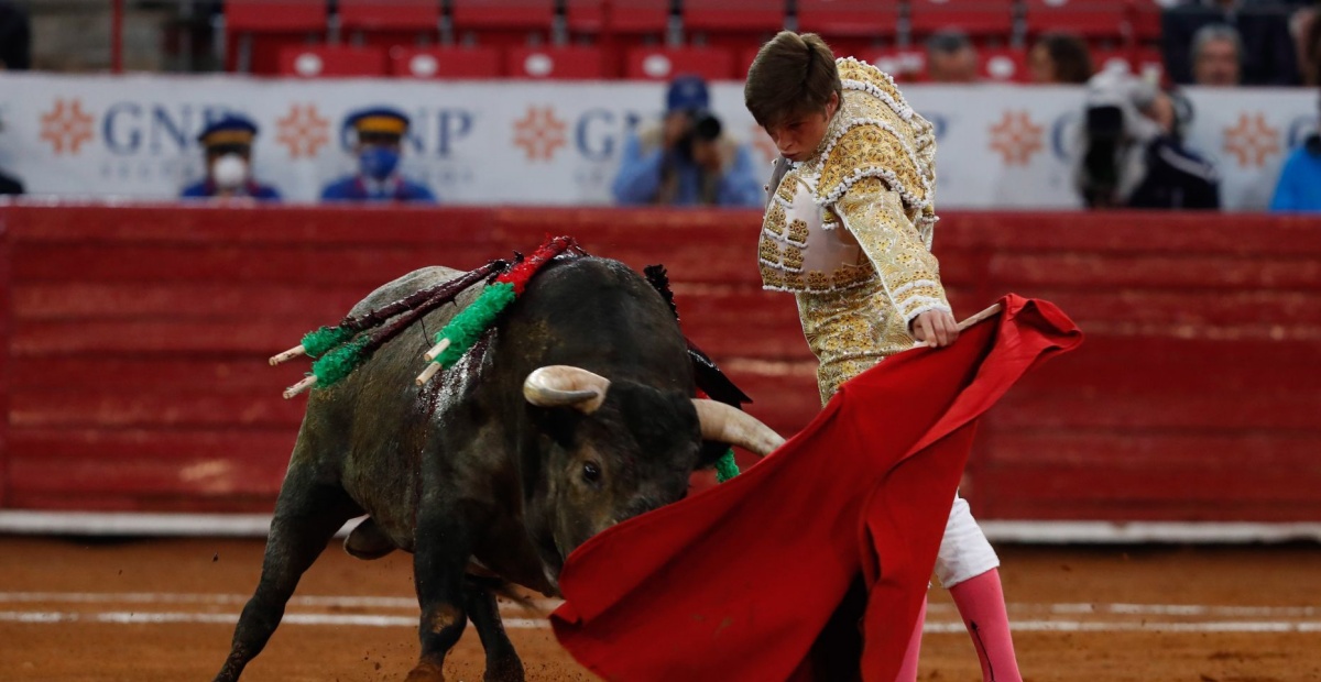 Corridas de toros y peleas de gallos no son patrimonio cultural: SCJN