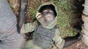 Mono araña fue abatido tras enfrentamiento en el Estado de México
