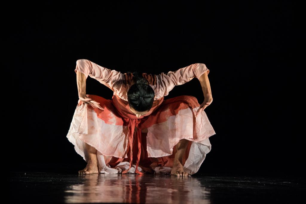 El XLII Festival Internacional de Danza Contemporánea presentó en su quinto día a la compañía de Danza “Proyecto Coyote”