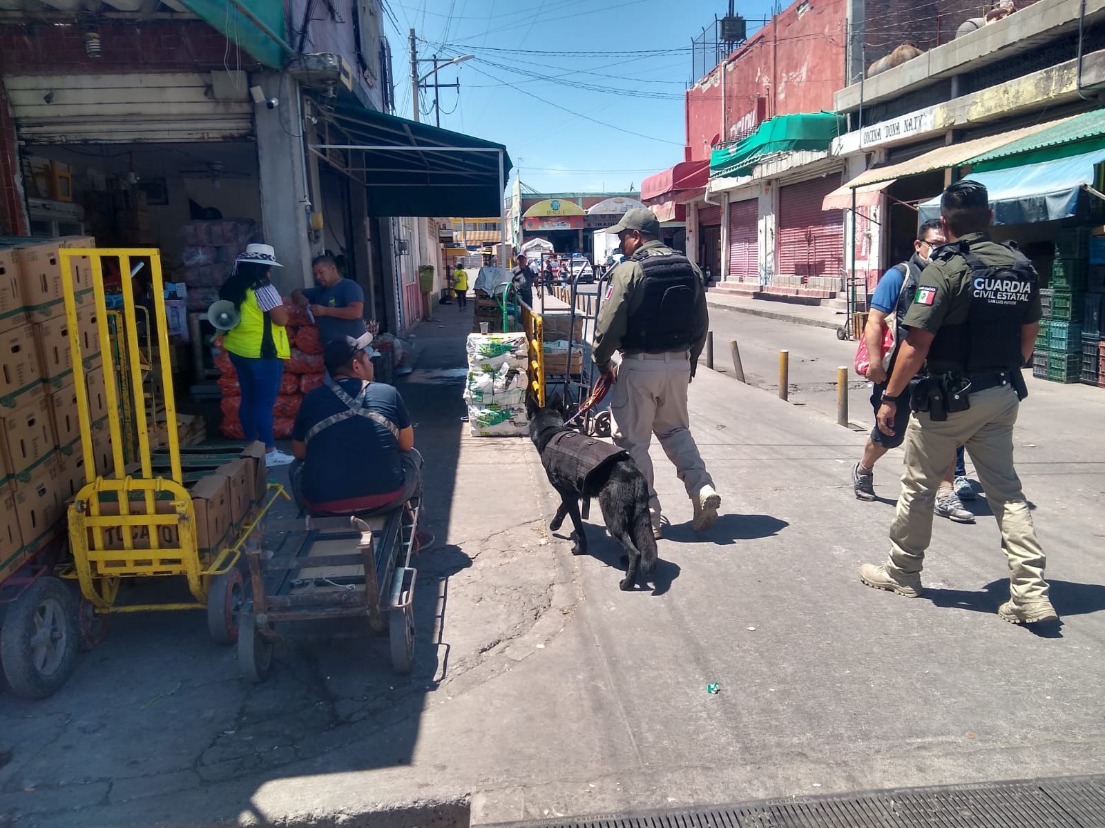 Agentes de la Guardia Civil Estatal del Agrupamiento canino K9 realizan patrullajes y recorridos de seguridad y vigilancia