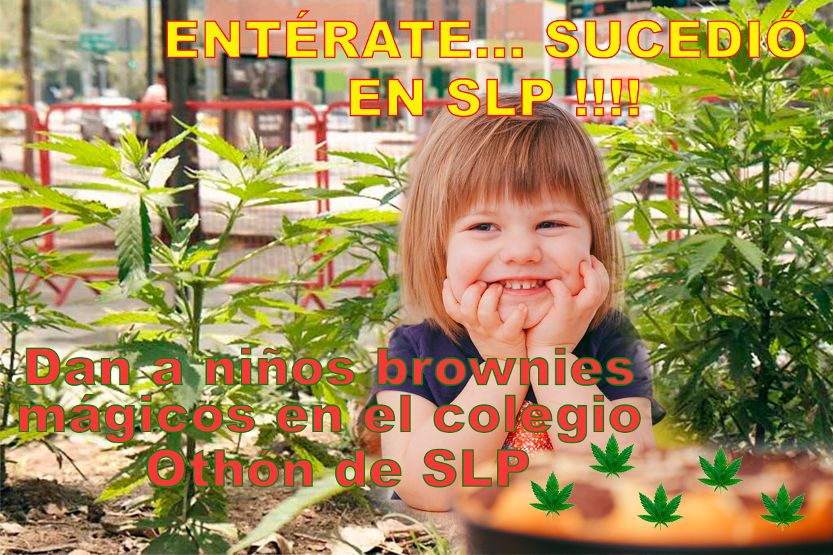 Dan a niños brownies mágicos en camping de SLP