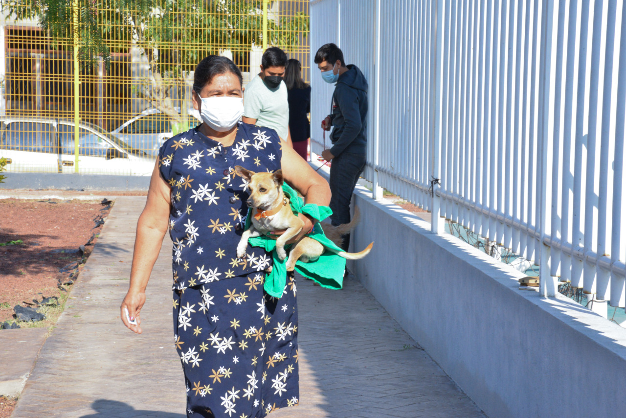 Dolores Herminia Juárez Herrera realizó la primer campaña de esterilización y vacunación animal en la localidad.