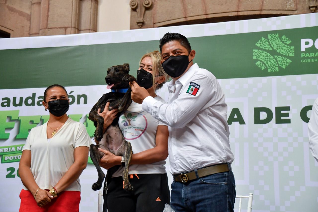 EN SLP SE DEFIENDE, PROMUEVE Y RESPETA LA DIGNIDAD ANIMAL: RICARDO GALLARDO