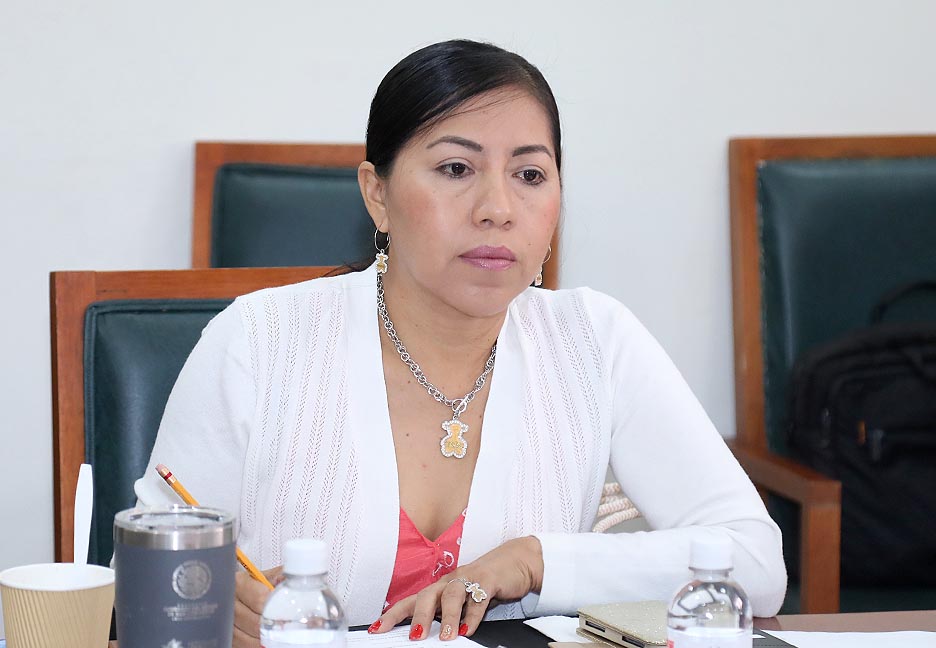 Reforma a la Ley Electoral se tendrá lista en tiempo y forma: Dip. Bernarda Reyes