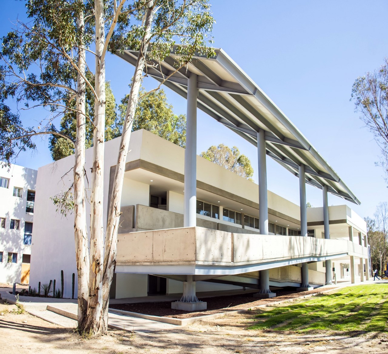 Sin precedentes, Feria Internacional Agropecuaria organizada por la Facultad de Agronomía y Veterinaria de la UASLP