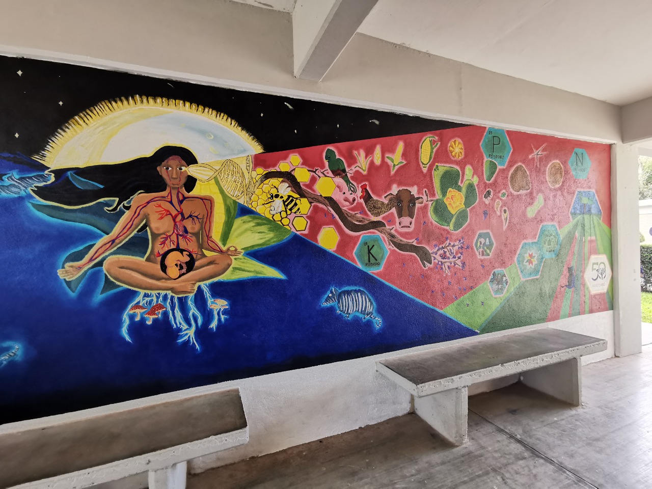 Fue develado el mural conmemorativo “Creadora” y entregados reconocimientos a docentes fundadores y ex directores.