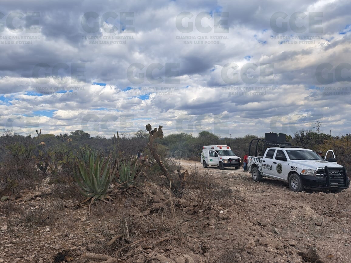 La FiLa Fiscalía General del Estado de San Luis Potosí tomó conocimiento sobre un accidente aéreo ocurrido en el municipio de Venado.scalía General del Estado de San Luis Potosí tomó conocimiento sobre un accidente aéreo ocurrido en el municipio de Venado.