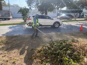 Diferentes áreas municipales trabajan en el cuidado y embellecimiento de espacios públicos en Soledad