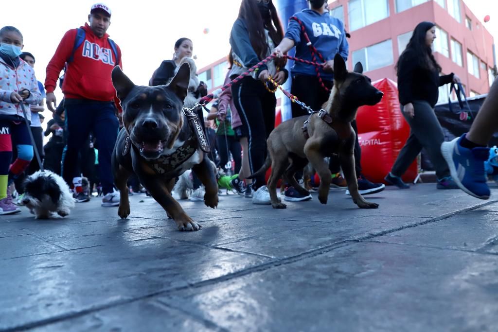 Todo un éxito la 2da Carrera Perrona del Gobierno de la Capital