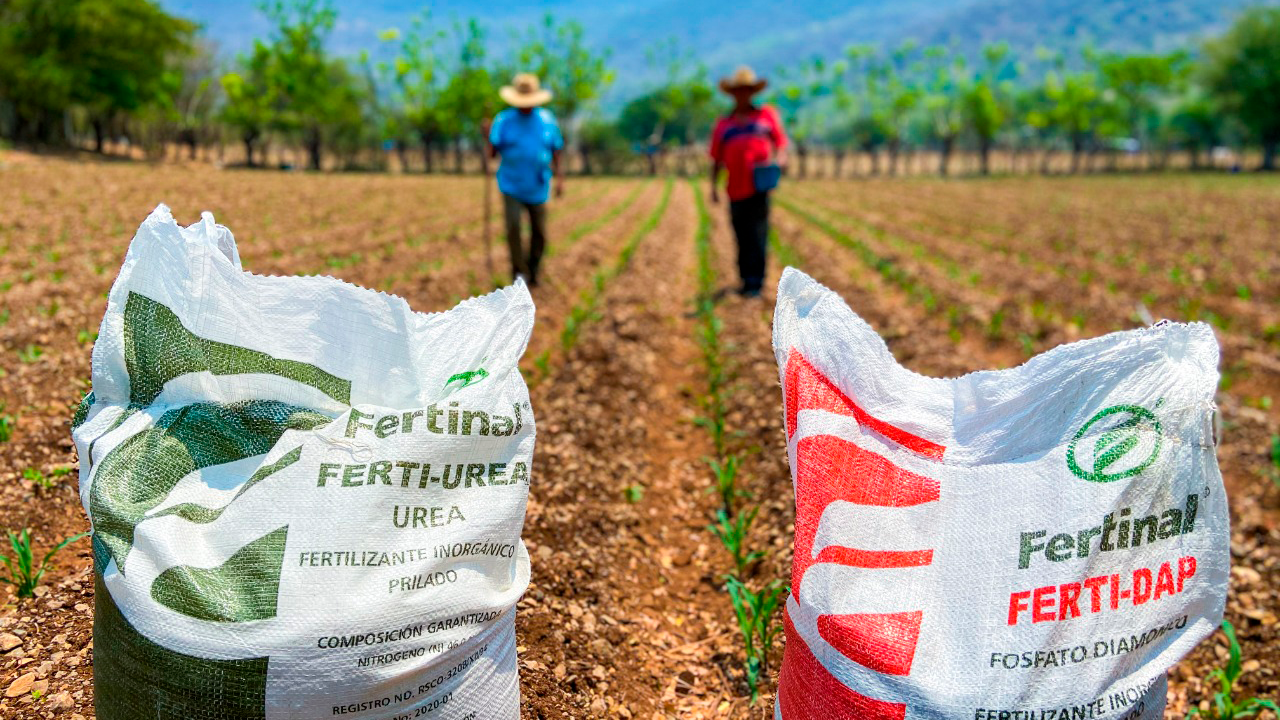 Fertilizantes para el Bienestar se amplía a nivel nacional: AMLO