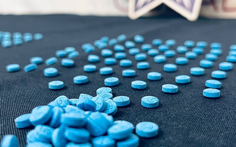 Aseguran 276 mil pastillas de fentanilo en Sinaloa