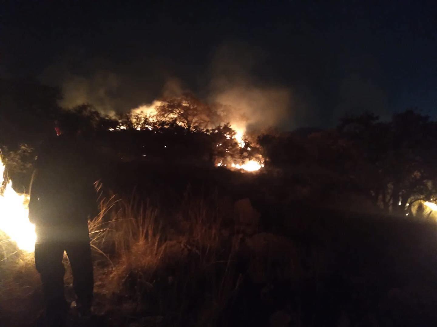 Siete hectáreas fueron afectadas por incendio en la Sierra de San Miguelito