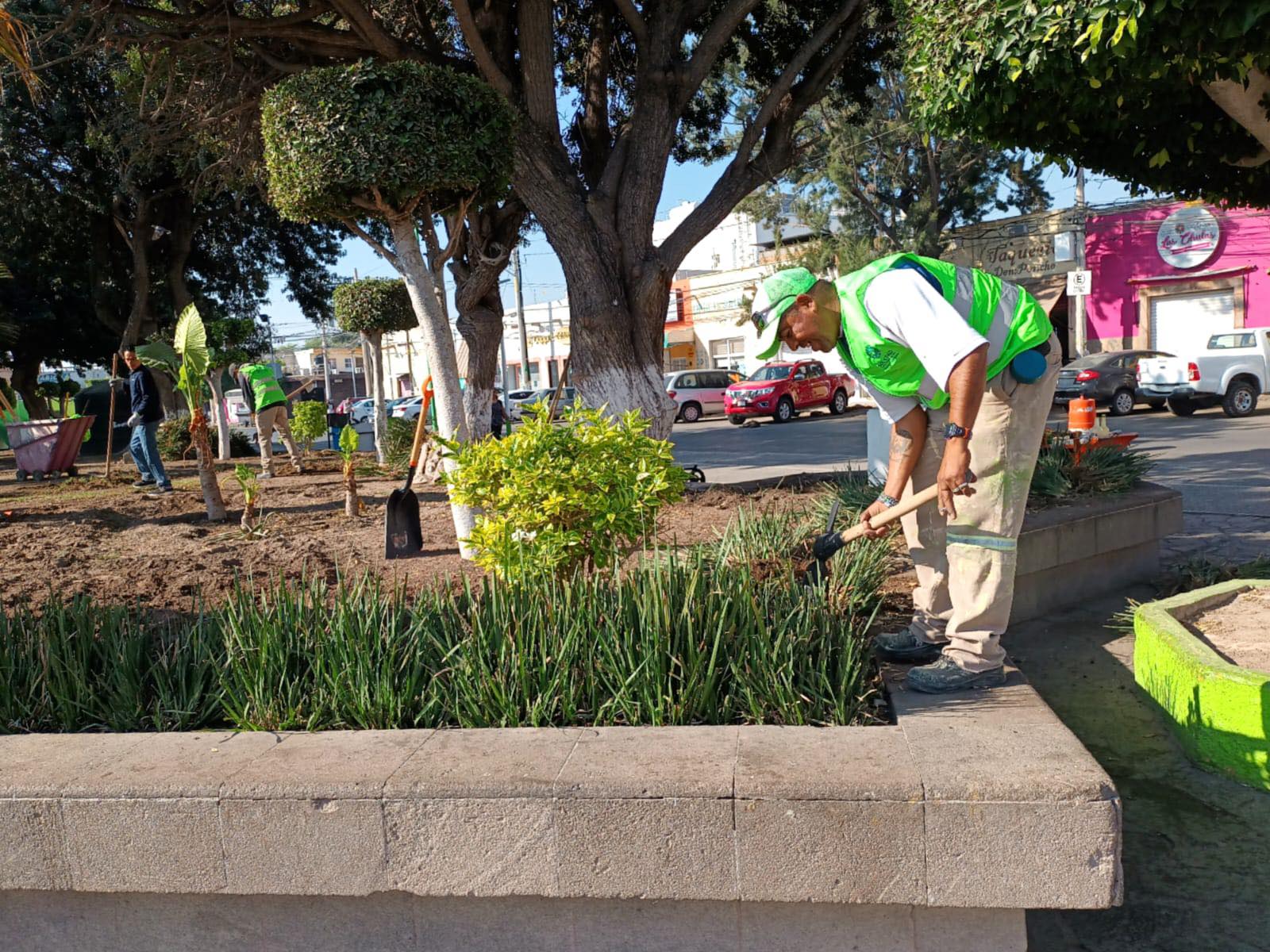 ESTE MARTES INICIÓ LA MODERNIZACIÓN DEL JARDÍN PRINCIPAL DE SOLEDAD