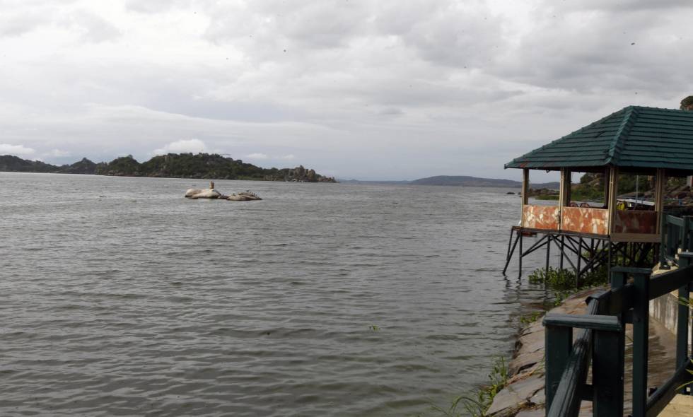 Desparacen 34 migrantes en naufragio frente a Túnez