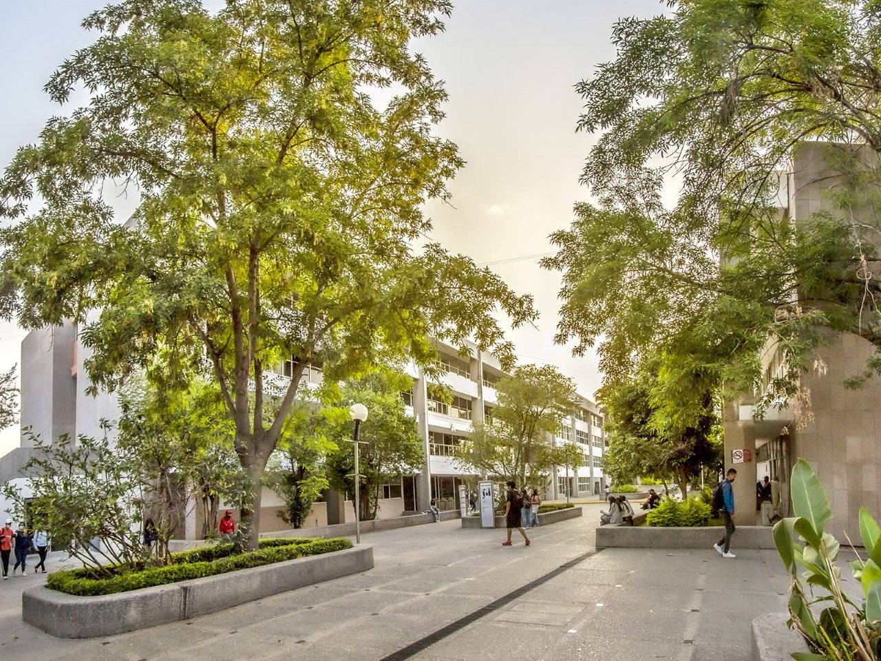 Dijo que en esta ocasión la Rodada Universitaria del Centenario tendrá como primer punto de salida a las 7:00 horas