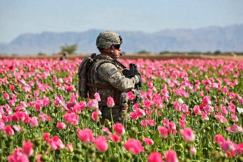 México entre los tres países que lideran la producción de opio en el mundo
