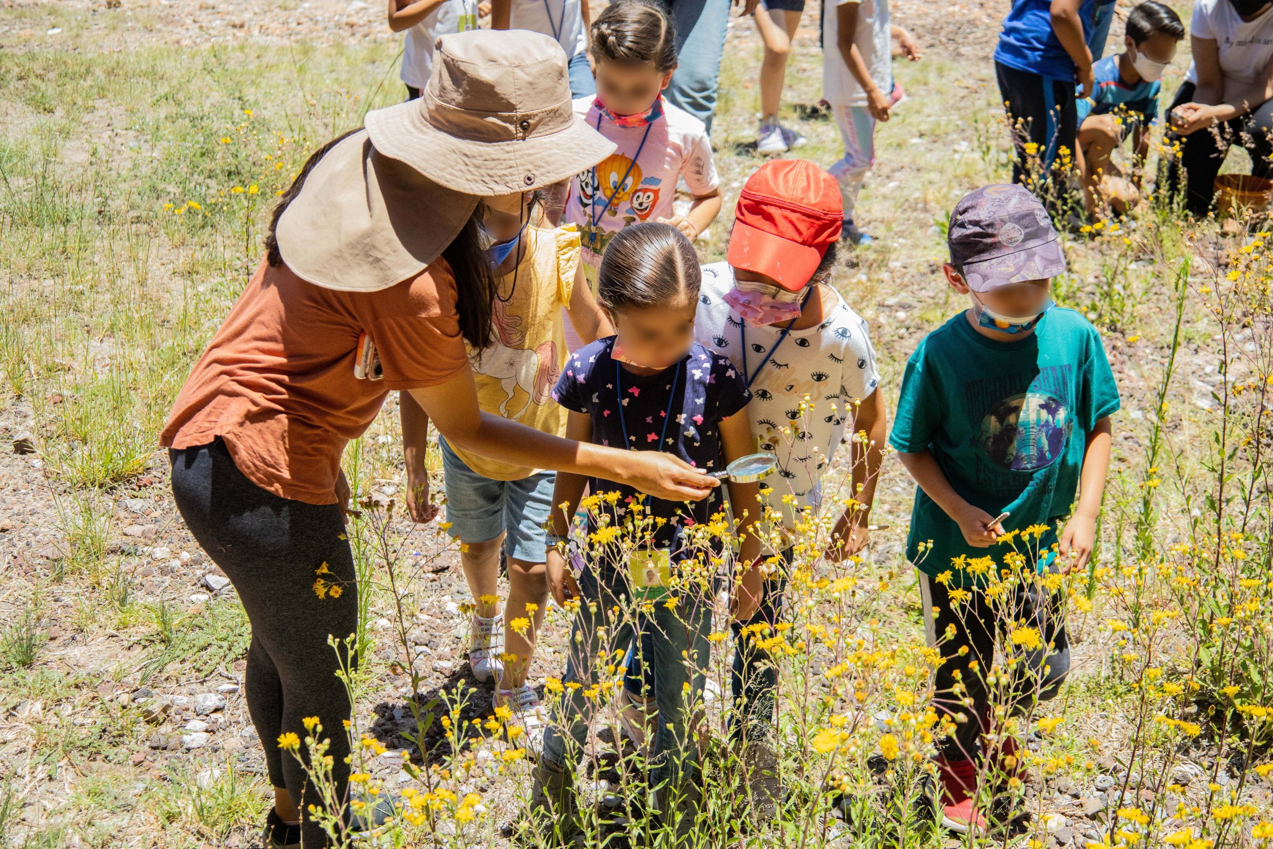 En el Laberinto´s Camp, las niñas y niños podrán conocer nuevas amigas amigos, aprender cosas de manera divertida