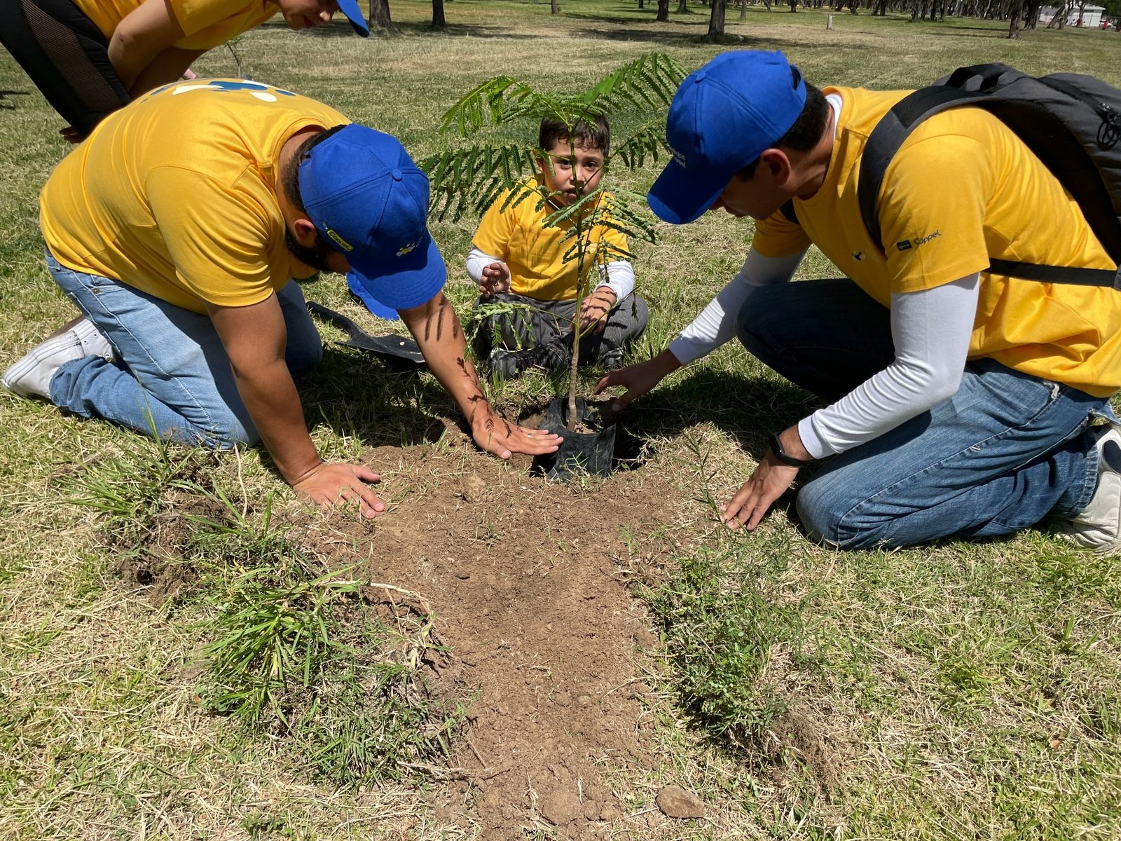 En el Día Mundial del Medio Ambiente, reforestan parque Tangamanga 1