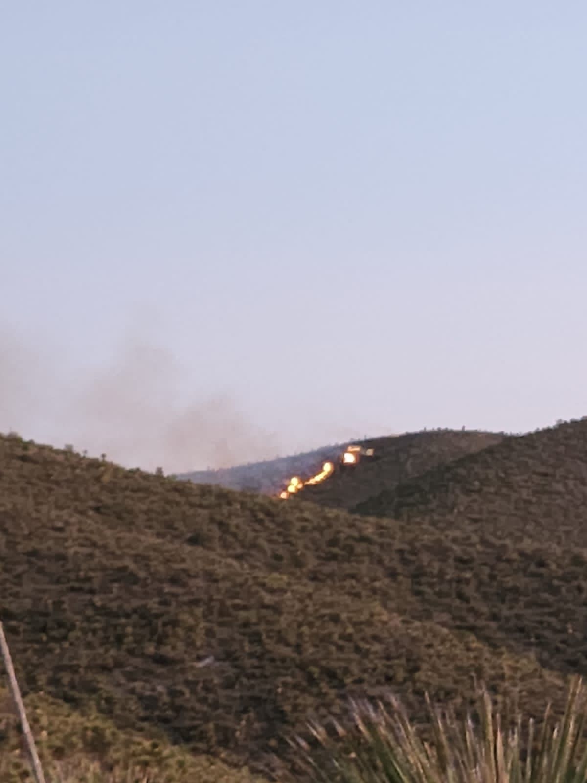 Atienden desde este sábado un incendio forestal en el cerro del Sabino que se ubica en los límites de Zacatecas y Santo Domingo.
