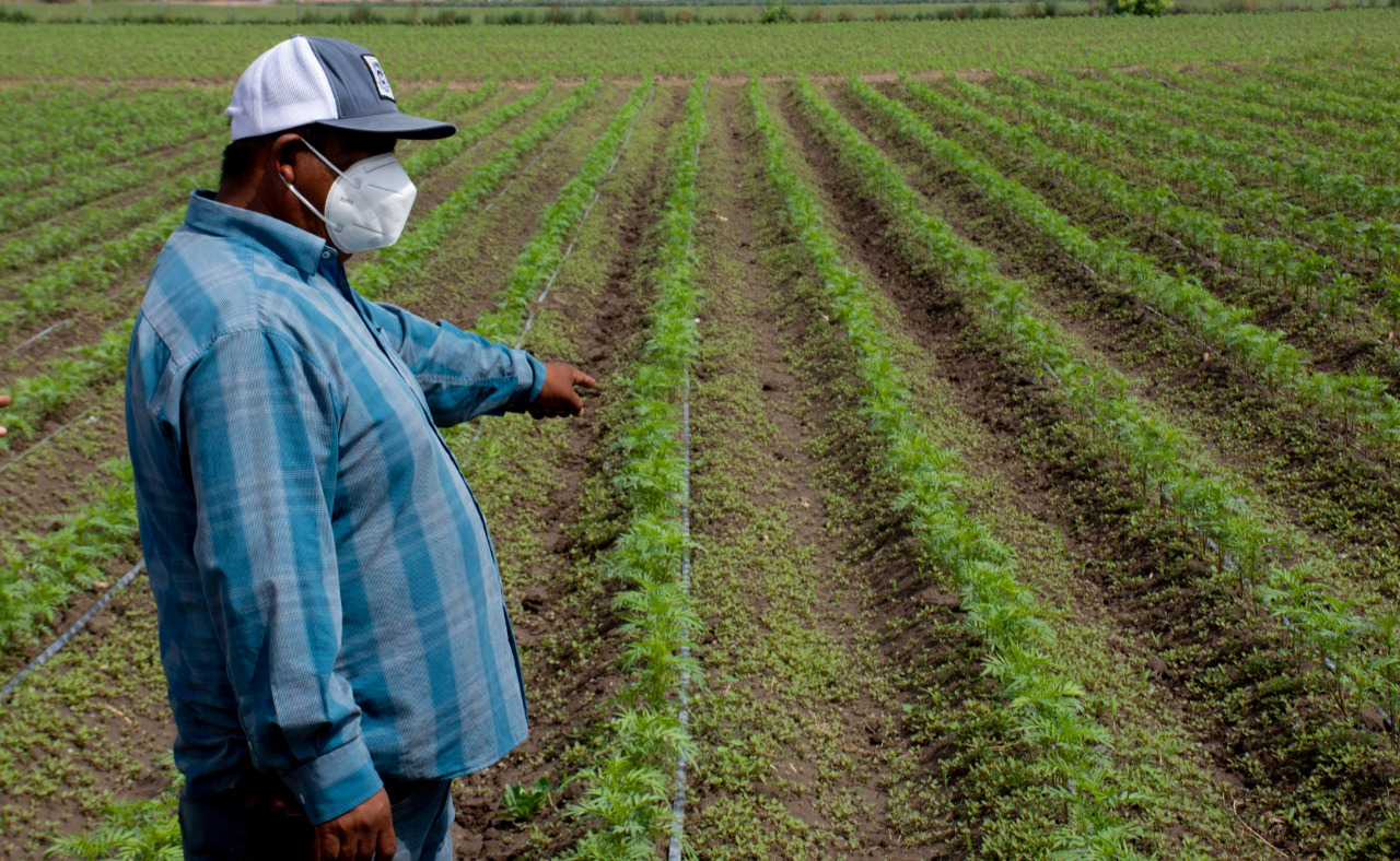 EN APOYO AL CAMPO, AYUNTAMIENTO SOLEDENSE Y GOBIERNO ESTATAL FIRMARÁN CONVENIO